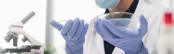 Ausgeschnittene Ansicht eines Wissenschaftlers in Latexhandschuhen, der Petrischalen in der Nähe eines verschwommenen Mikroskops im Labor hält, Banner  - Foto, Bild