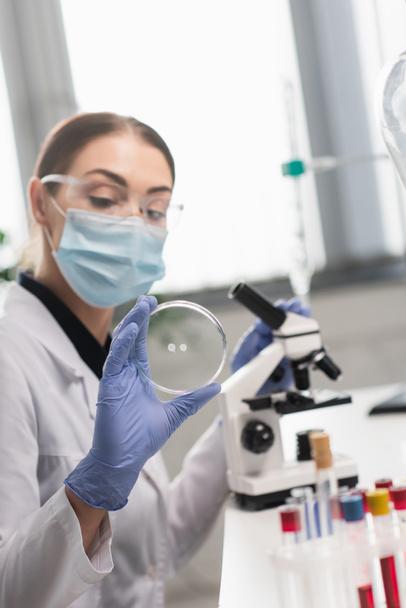 Placa Petri en mano de científico desenfocado en máscara médica cerca del microscopio y tubos de ensayo en laboratorio  - Foto, Imagen