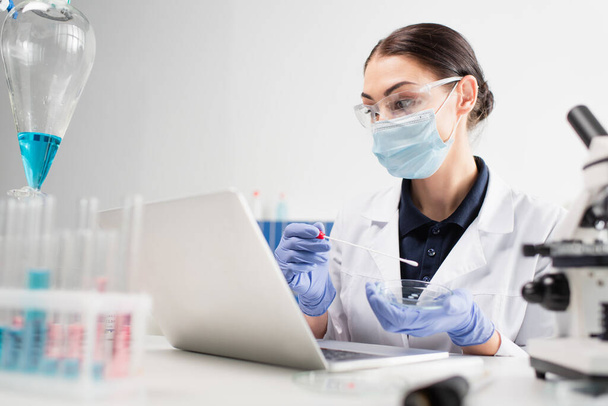 Tudós orvosi maszk tartja pcr teszt és Petri-csésze közelében laptop és mikroszkóp a laborban  - Fotó, kép