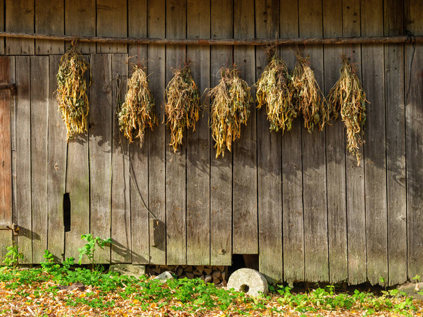 antiguo granero rural de tablones de madera y hormigón en la zona rural en verano - Foto, Imagen