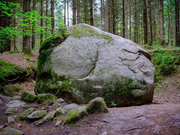 grosses roches dans la forêt verte d'été sous les arbres se cachant dans la mousse - Photo, image