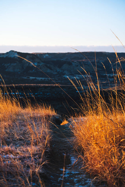The sunny trail of the Badlands in Theodore Roosevelt National Park, North Dakota - Fotografie, Obrázek