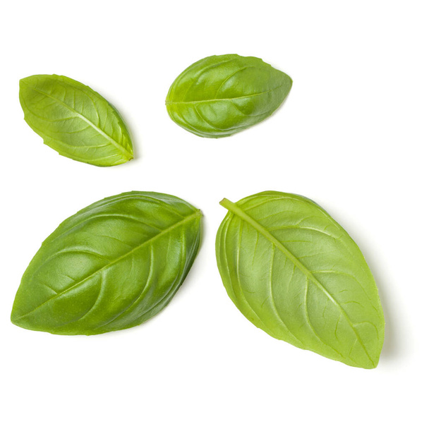 Sweet Basil herb leaves isolated over white background closeup. Flat lay, top view.. - Φωτογραφία, εικόνα