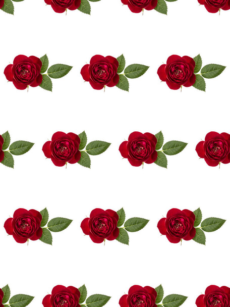 one red rose flower with leaves isolated on white background cutout. Floral seamless pattern. - Fotó, kép