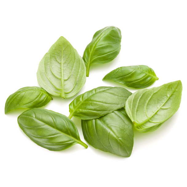 Sweet basil herb leaves handful isolated on white background closeup - Foto, afbeelding