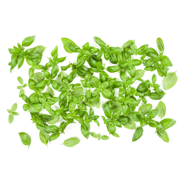 Sweet Genovese basil leaves background arrangement isolated on white. Top view. - Photo, Image