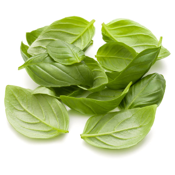 Sweet basil herb leaves handful isolated on white background closeup - Фото, зображення