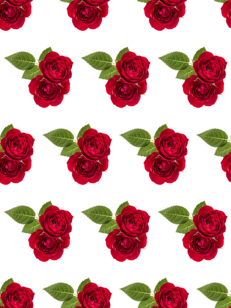 two red rose flowers  isolated with leaves on white background cutout. Floral seamless pattern. - Valokuva, kuva