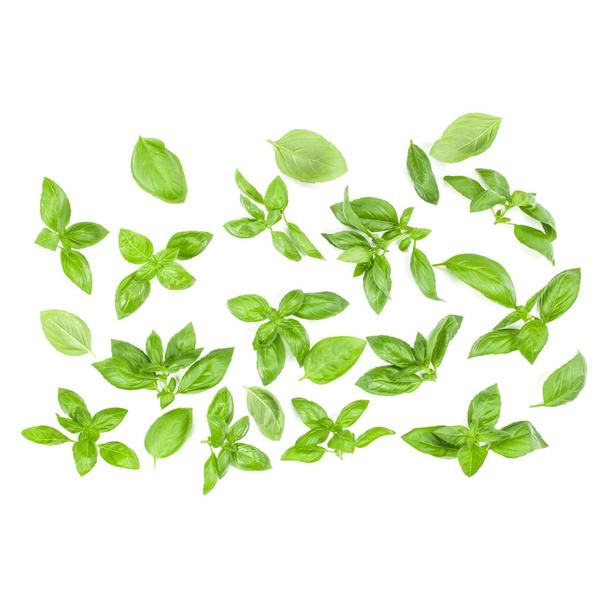 Sweet Genovese basil leaves background arrangement isolated on white. Top view. - Foto, Imagem