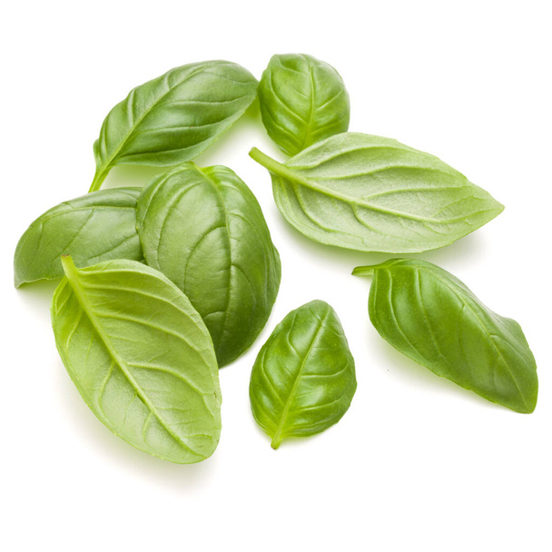 Sweet basil herb leaves handful isolated on white background closeup - Fotoğraf, Görsel