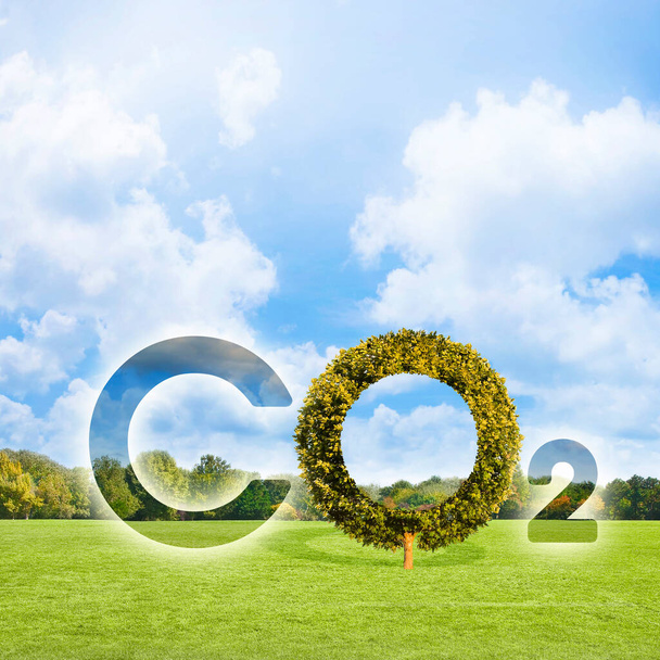 Μείωση της ποσότητας των εκπομπών CO2 - έννοια με το κείμενο εικονίδιο του CO2 και το σχήμα του δέντρου στην αγροτική σκηνή με πράσινο γκαζόν με δέντρα και αντίγραφο χώρου - Φωτογραφία, εικόνα