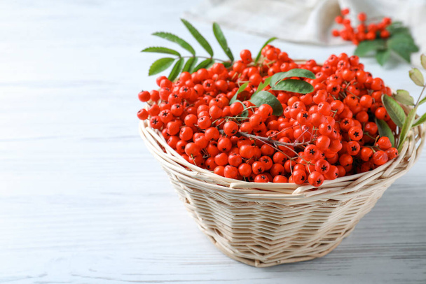 Fresh ripe rowan berries and leaves in wicker basket on white wooden table. Space for text - Фото, зображення