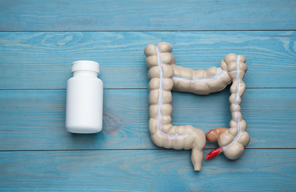 Anatomical model of large intestine and bottle with pills on turquoise wooden background, flat lay - Foto, immagini