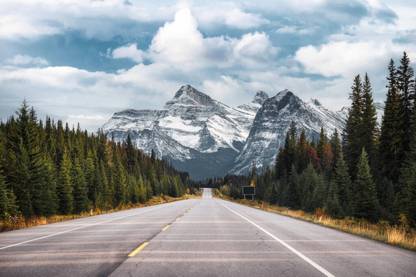 Дорожная поездка и канадские скалы на шоссе в национальном парке Айсфилдс Паркуэй, Альберта, Канада - Фото, изображение