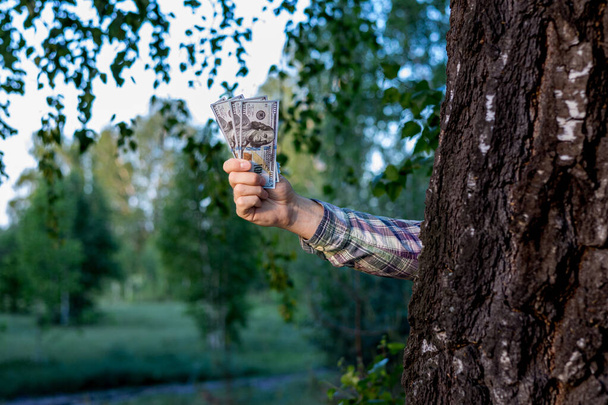 una mano stende i soldi da dietro un albero per tagliarli. soldi per la foresta - Foto, immagini