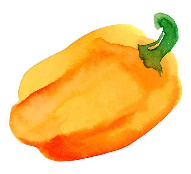 Yellow bell pepper. Hand drawn watercolor painting on white background, vector illustration. - Vector, Image