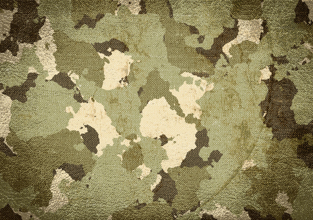 Texture camouflage
 - Photo, image