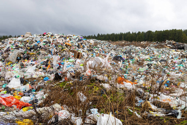 μια υπαίθρια χωματερή, πλαστικά και χάρτινα απόβλητα που βρίσκονται και σαπίζουν. μη συστηματική αντιμετώπιση του προβλήματος των σκουπιδιών στη Ρωσία - Φωτογραφία, εικόνα