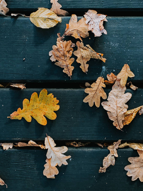 A vertical shot of autumn leaves on the ground - Valokuva, kuva