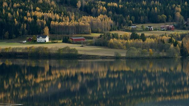 An autumn landscape with farmhouses at the coast of lake Kroderen, in Norway - Photo, Image