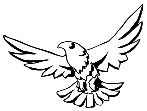 Falcon bird predator flying hunting stencil black, vector illustration, horizontal, isolated - Vektor, kép