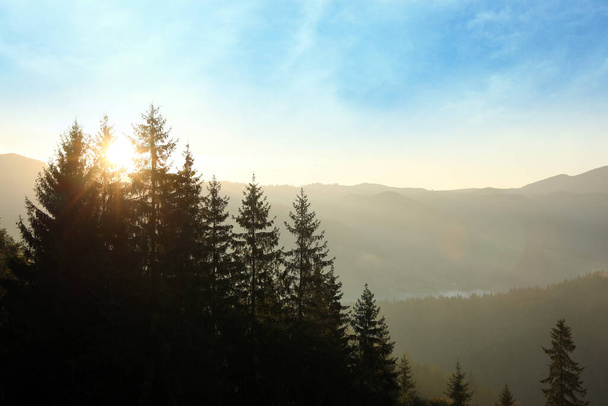 Úžasný výhled na krásné mlhavé hory v dopoledních hodinách - Fotografie, Obrázek