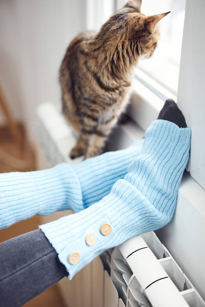 Pés de mulher com meias de lã, gato doméstico, desfrutando dentro de casa no radiador. - Foto, Imagem