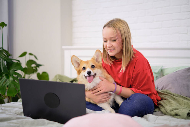 teenage girl with funny corgi dog and laptop on bed at home. Cozy workplace, online education, E-learning concept. Distance communication with laptop - Fotó, kép