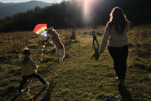 Mother with daughter son and dog walk through field at sunset and launch multicolored kite into sky. Have fun spending time with two children outdoors in nature. Dog jumps and bites kite. - Photo, Image