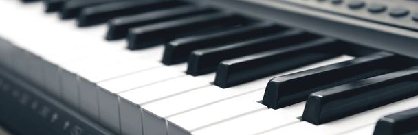 Electronic keyboard musical instrument synthesizer. Panorama. - Фото, изображение
