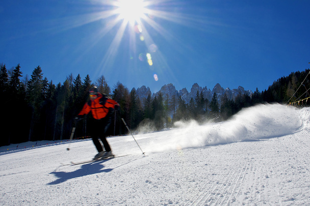 Lo sciatore
 - Foto, immagini