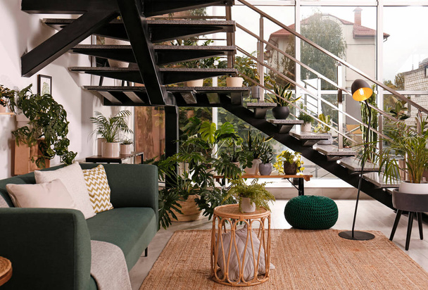 Stylish living room interior with comfortable sofa and green plants - Фото, зображення