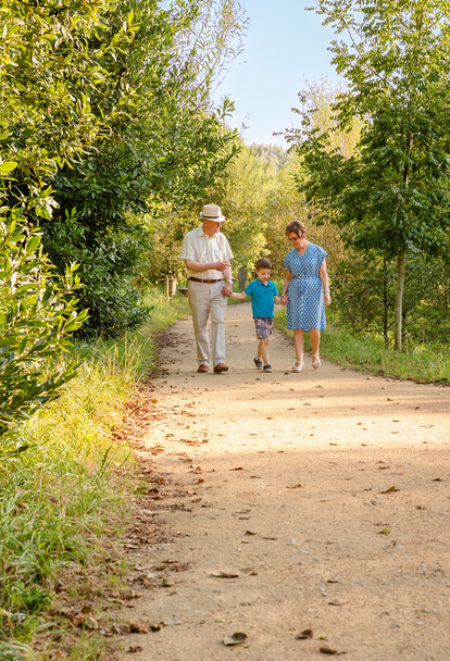grands-parents et petits-enfants marchant à l'extérieur - Photo, image