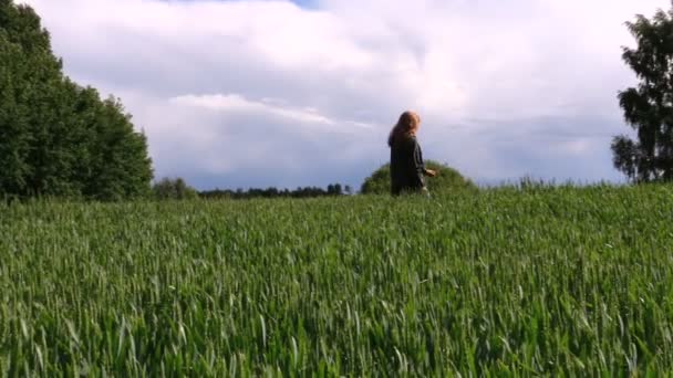 sötét kabát nő megy keresztül széles növény mező, nyáron - Felvétel, videó