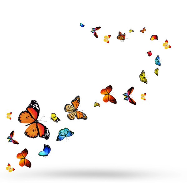 herfst vlinders - Foto, afbeelding