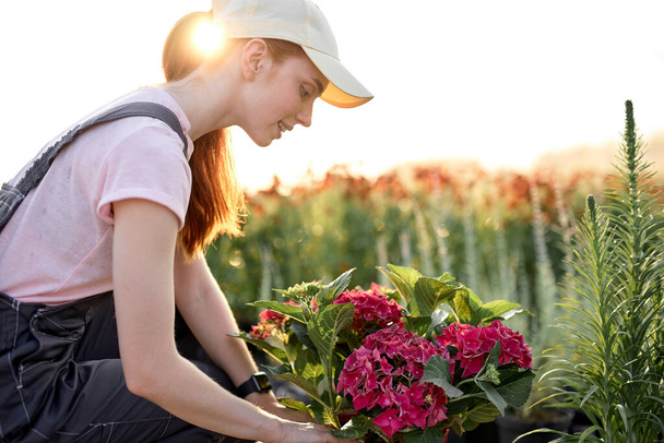 Portrait of redhead female gardener in uniform with blooming flowers plants - 写真・画像