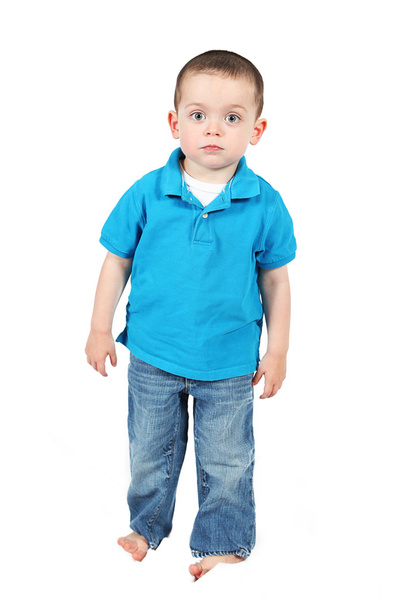 Cute little boy posing - Photo, Image