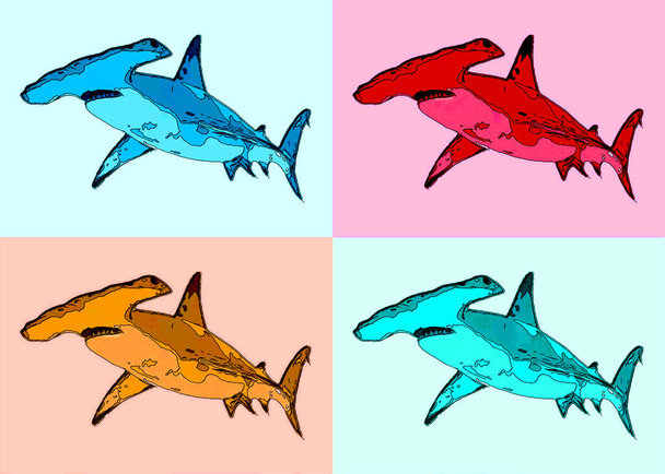Hamer haai teken illustratie pop-art achtergrond pictogram met kleur vlekken - Foto, afbeelding