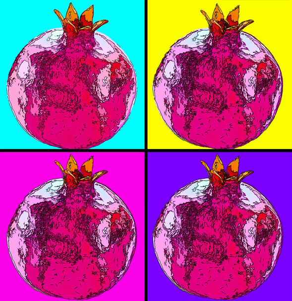 Signo de fruta de granada madura ilustración pop-art icono de fondo con manchas de color - Foto, imagen