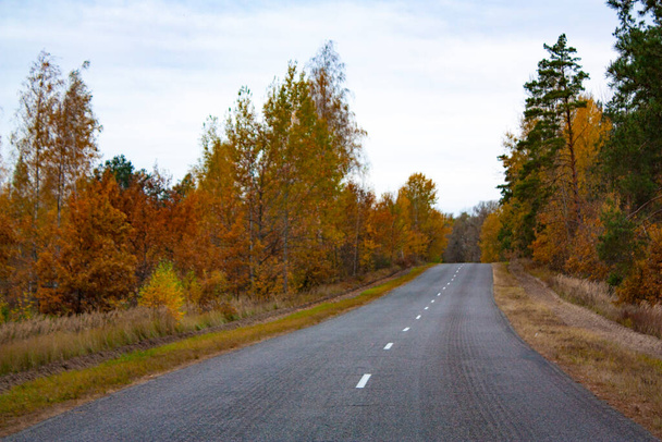 An asphalt road in an autumn forest on a cloudy day. Yellow and green trees stand on the side of the road. Road markings. - Fotografie, Obrázek