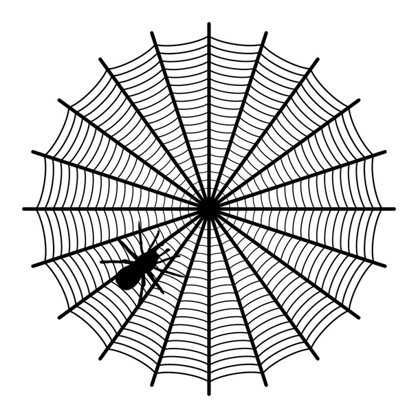 Spider on a web - Vector, Image