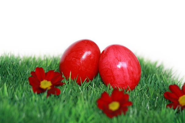 Red Easter eggs and red flowers - Photo, Image