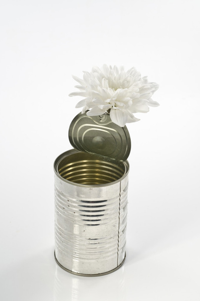 One white chrysanthemum in a tin old can over white. Concept sti - Foto, Imagen