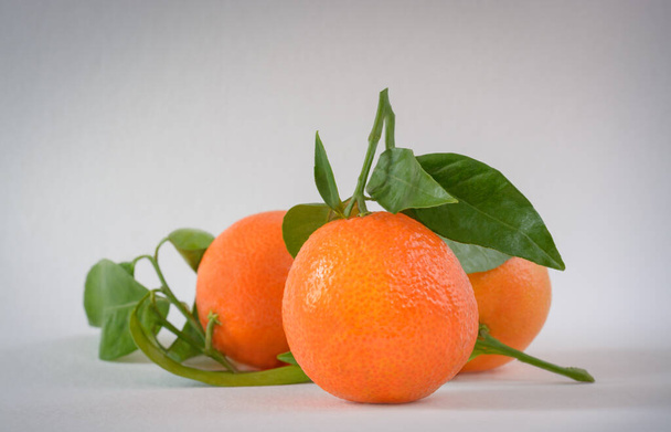 Tangerines on a twig with leaves on a light background - Photo, Image