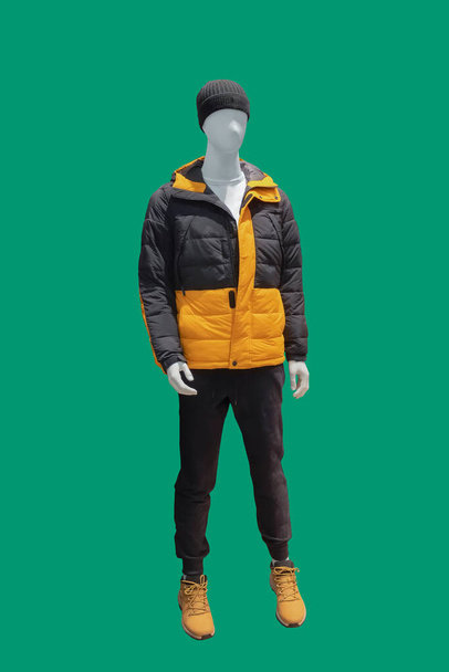 Manekin męski pełnej długości ubrany w ciepłą, wyściełaną kurtkę, izolowany na zielonym tle - Zdjęcie, obraz
