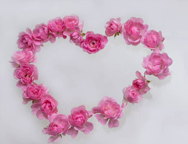 Pink roses Heart shape.on white background.Rose is a flower symbol represents love, romance in Valentines Day. - Foto, immagini
