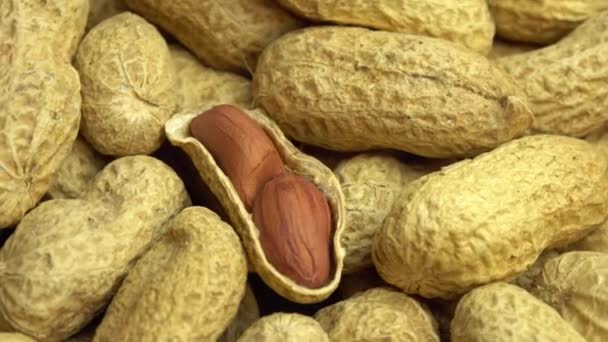 Erdnüsse rotieren als Hintergrund, Erdnüsse in Schalen, gemahlene Nüsse - Filmmaterial, Video