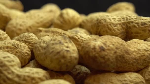 Erdnüsse rotieren als Hintergrund, Erdnüsse in Schalen, gemahlene Nüsse - Filmmaterial, Video