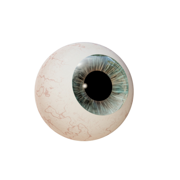 Глазное яблоко
 - Фото, изображение