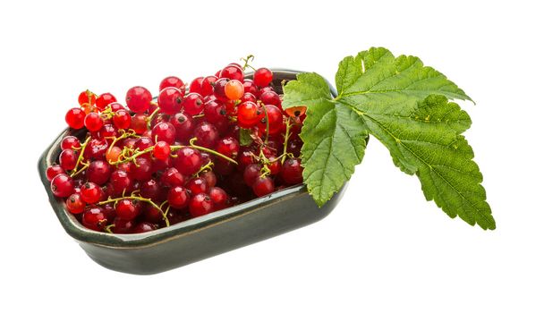 Red currant - Photo, Image